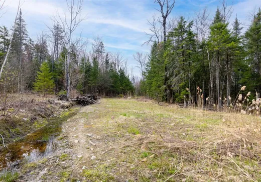 Terrain à vendre -  Rue Caleb, Sherbrooke, J1R0A8