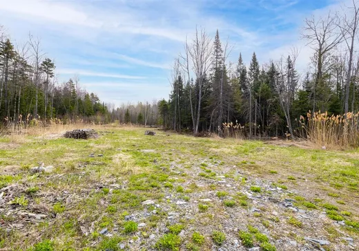 Terrain à vendre -  Rue Caleb, Sherbrooke, J1R 0A8