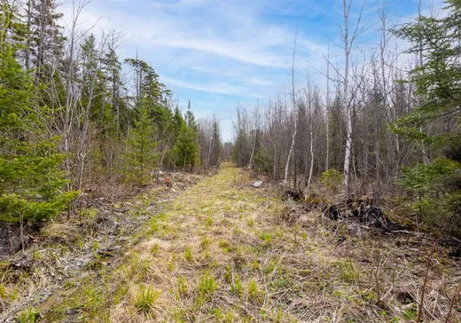 Terrain à vendre -  Rue Caleb, Sherbrooke, J1R 0A8