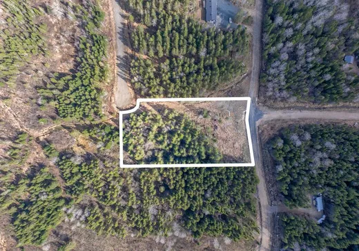 Land for sale -  Ch. du Rang 6, Lac-Saguay, J0W1L0