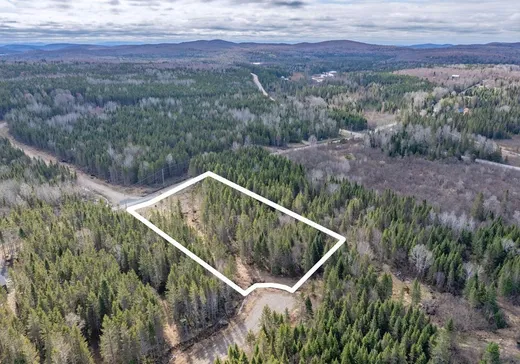 Land for Sale -  Ch. du Rang 6, Lac-Saguay, J0W 1L0