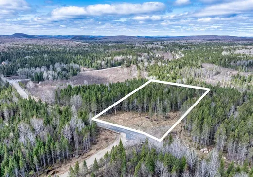 Land for Sale -  Ch. du Rang 6, Lac-Saguay, J0W 1L0