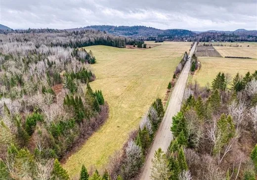 Land for Sale -  Ch. de Mulligan Ferry, Gracefield, J0X 1W0