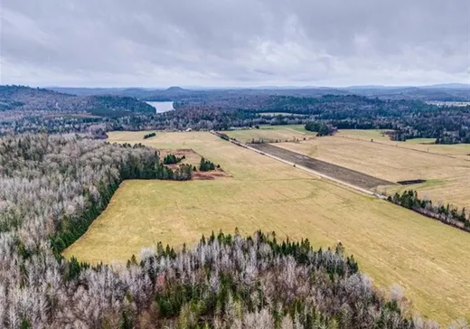Land for Sale -  Ch. de Mulligan Ferry, Gracefield, J0X 1W0