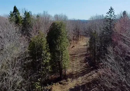 Land for sale - 29 Mtée du Belvédère, Alcove , J0X1A0