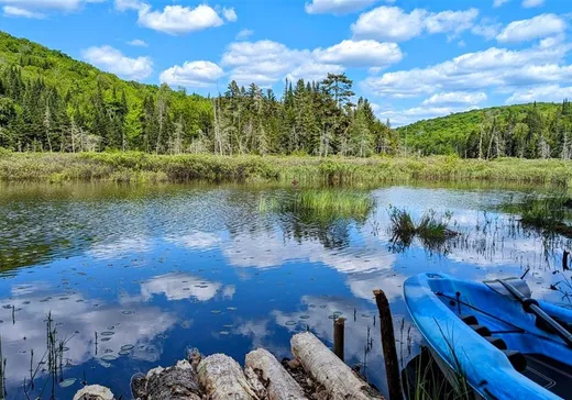 Land for Sale -  Ch. du Lac-Pearl, Sainte-Agathe-des-Monts, J8C 2Z7