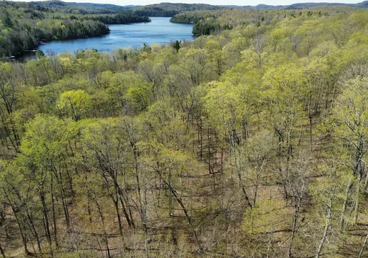 Terrain à vendre -  Ch. des Labradors, Lachute, J8G0E2