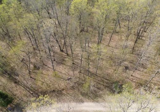 Terrain à vendre -  Ch. des Labradors, Lachute, J8G 0E2