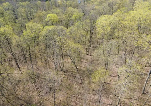 Terrain à vendre -  Ch. des Labradors, Lachute, J8G 0E2