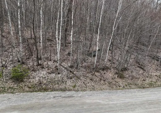 Land for sale -  Mtée Hurtubise, Morin-Heights, J0R1H0
