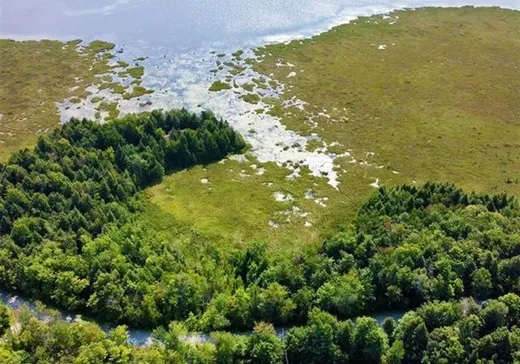 Terrain à vendre -  Ch. du Lac-Brompton, Orford, J1X 6L7