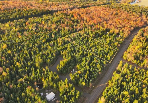 Terrain à vendre -  Ch. des Bouleaux, Lac-Mégantic, J0B1Y0