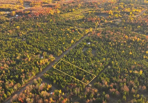 Land for Sale -  Ch. des Bouleaux, Lac-Mégantic, J0B 1Y0