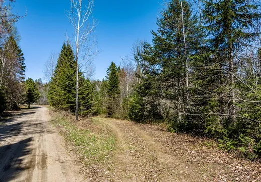 Terrain à vendre - 860 Rg Sacacomie, St-Alexis-Des-Monts, J0K 1V0