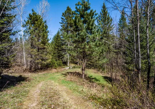Terrain à vendre - 860 Rg Sacacomie, St-Alexis-Des-Monts, J0K 1V0