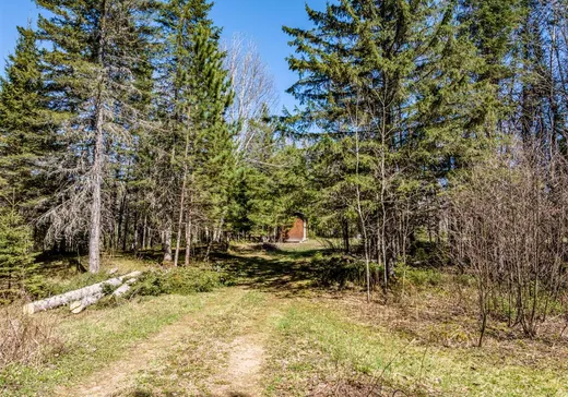 Terrain à vendre - 860 Rg Sacacomie, St-Alexis-Des-Monts, J0K 1V0