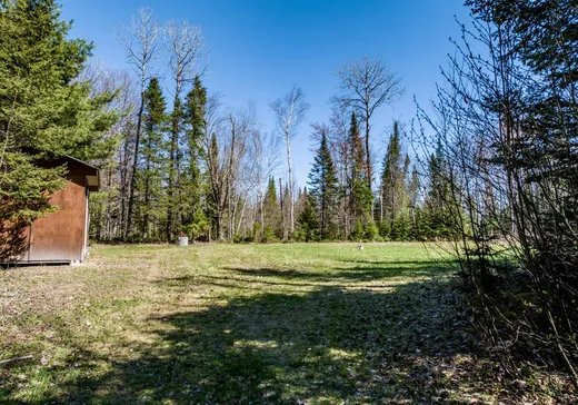 Terrain à vendre - 860 Rg Sacacomie, St-Alexis-Des-Monts, J0K 1V0