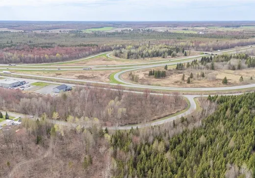 Terrain à vendre - X Rue Baril, Saint-Louis-de-Blandford, G0Z 1B0