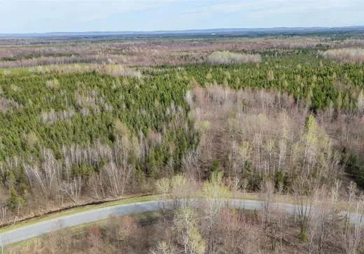 Terrain à vendre - X Rue Baril, Saint-Louis-de-Blandford, G0Z 1B0