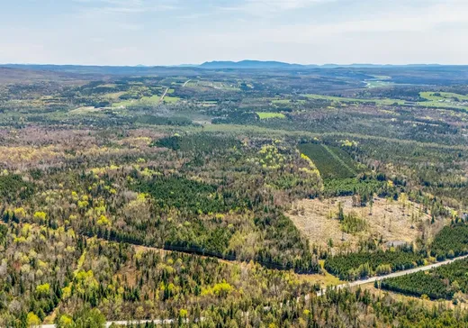 Terrain à vendre - 15 Ch. Bibeau, Weedon, J0B 3J0