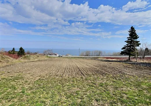Land for Sale -  Route 132, L'Anse-Pleureuse, G0E 1G0