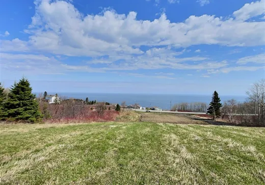 Land for Sale -  Route 132, L'Anse-Pleureuse, G0E 1G0