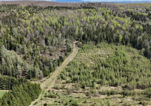 Terrain à vendre - 1400 2e Rang S., Weedon, J0B 3J0