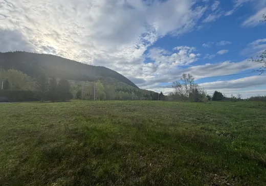 Land for Sale -  Ch. de l'Étang-Sugar Loaf, Mansonville, J0E 1X0