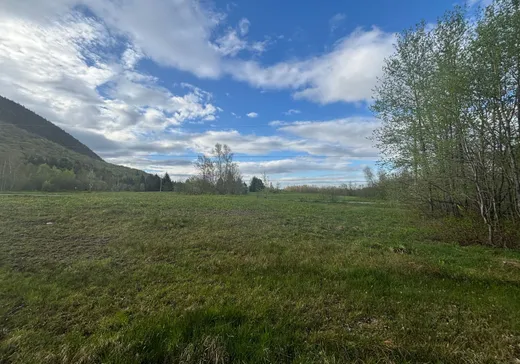 Land for Sale -  Ch. de l'Étang-Sugar Loaf, Mansonville, J0E 1X0