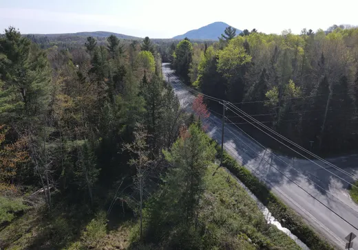 Land for sale -  Ch. de Vale Perkins, Mansonville, J0E1X0