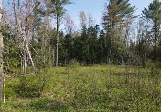 Land for Sale -  Ch. de Vale Perkins, Mansonville, J0E 1X0