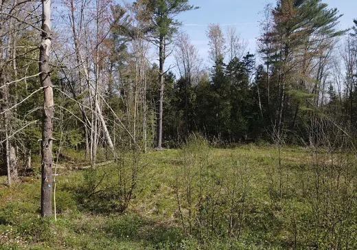 Land for Sale -  Ch. de Vale Perkins, Mansonville, J0E 1X0