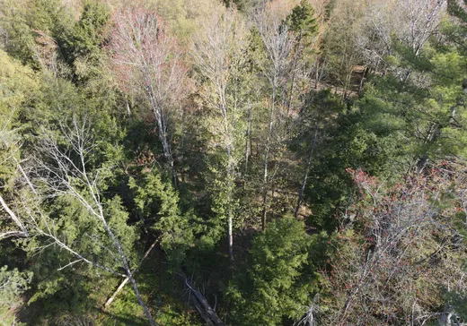Land for Sale -  Ch. de Vale Perkins, Mansonville, J0E 1X0