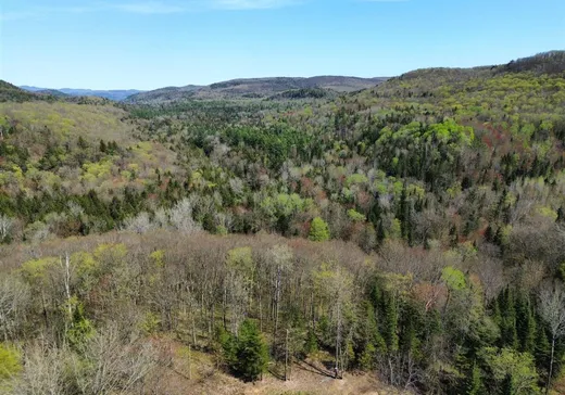 Terrain à vendre -  Ch. de la Petite-Rivière, Harrington, J8G2T3