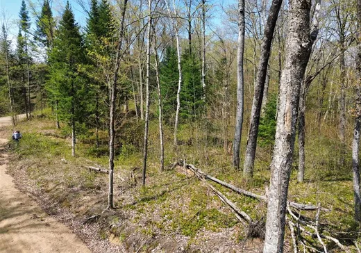 Terrain à vendre -  Ch. de la Petite-Rivière, Harrington, J8G 2T3