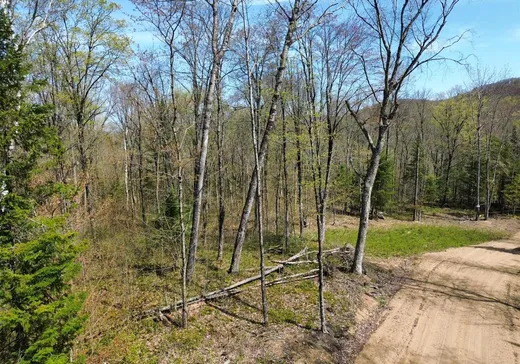 Terrain à vendre -  Ch. de la Petite-Rivière, Harrington, J8G 2T3