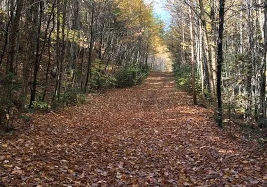Terrain à vendre - 3866 Ch. des Hauteurs, Ste-Lucie, J0T 2J0