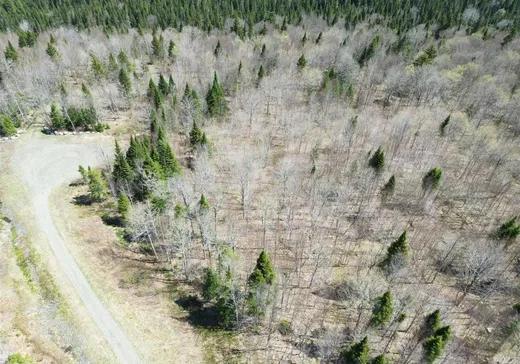 Land for sale -  Ch. Madeleine, Notre-Dame-Des-Boies, J0B2E0