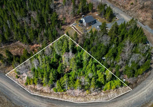 Terrain à vendre -  Rue du Génévrier, Val David, J0T2N0
