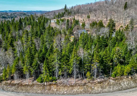 Terrain à vendre -  Rue du Génévrier, Val David, J0T 2N0