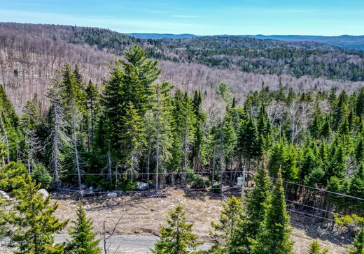 Terrain à vendre -  Rue du Génévrier, Val David, J0T 2N0