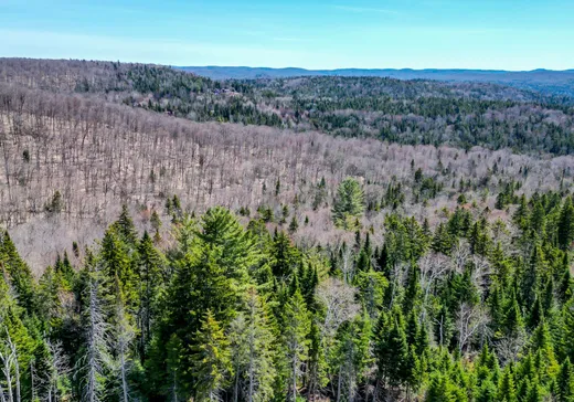 Terrain à vendre -  Rue du Génévrier, Val David, J0T 2N0