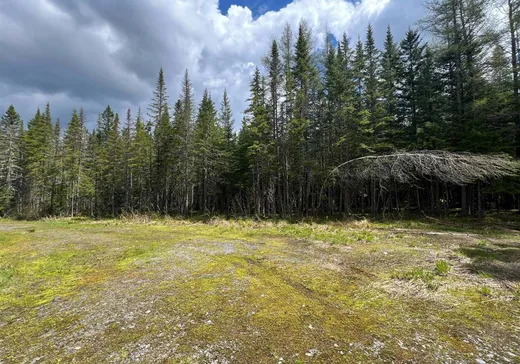 Land for Sale -  Ch. du Lac-Algonquin, Sainte-Rose-de-Watford, G0R 4G0