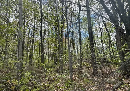 Land for Sale - X Rg Beaupré, Ste-Ursule, J0K 3M0