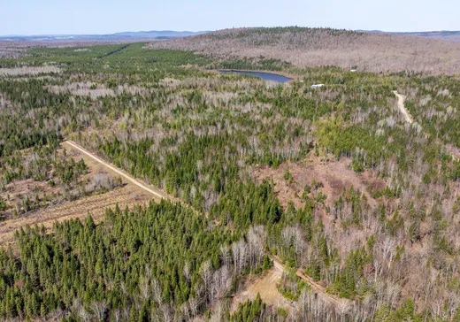 Terrain à vendre -  Chemin Bélanger, Saint-Eusèbe, G0L 2Y0