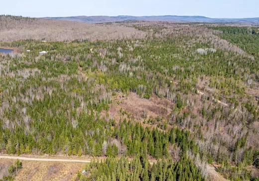 Terrain à vendre -  Chemin Bélanger, Saint-Eusèbe, G0L 2Y0