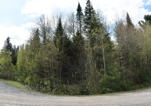 Land for Sale -  Rue de l'Ermitage, Ste-Ursule, J0K 3M0