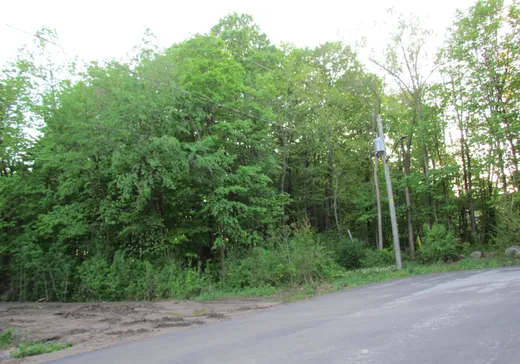 Land for sale - 45 Rue de la Chantecler, Oka, J0N1E0