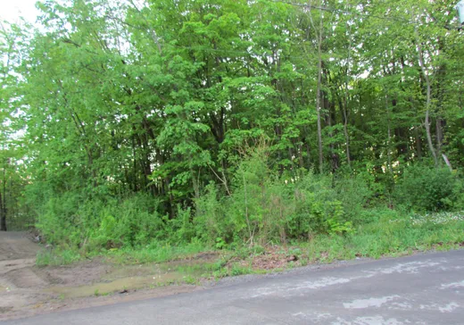 Land for Sale - 45 Rue de la Chantecler, Oka, J0N 1E0