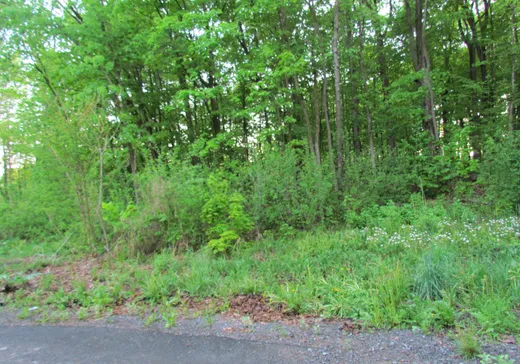 Land for Sale - 45 Rue de la Chantecler, Oka, J0N 1E0